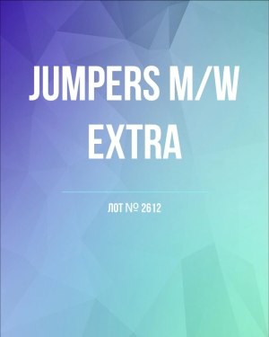 Купить Джемпер муж+жен экстра#15 кг , Лот№2612 оптом в Пензе и Пензенской области