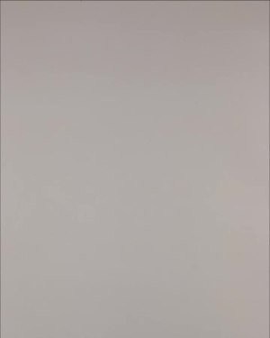 Фотография  991 - Нижнее белье Bon Prix дети#50 шт, ЛОТ №3242 оптом в Пензе и Пензенской области