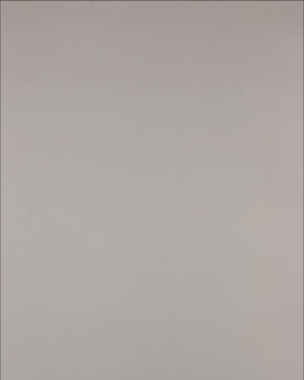 Фотография  549 - Нижнее белье Bon Prix дети#50 шт, ЛОТ №3242 оптом в Пензе и Пензенской области