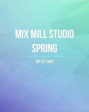Купить MILL STUDIO Spring mix#15 кг, ЛОТ №3650 оптом в Пензе и Пензенской области