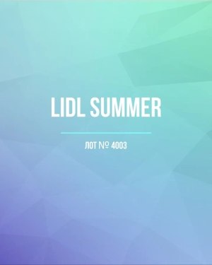 Купить LIDL Summer#20 кг, ЛОТ №4003 оптом в Пензе и Пензенской области