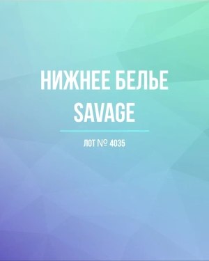 Купить Нижнее белье Savage, 50 шт, ЛОТ №4035 оптом в Пензе и Пензенской области