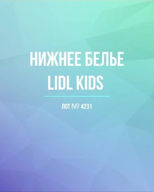 Купить Нижнее белье LIDL Kids#5 кг, ЛОТ №4231 оптом в Пензе и Пензенской области