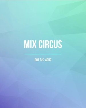 Купить CIRCUS mix #13 кг, ЛОТ №4257 оптом в Пензе и Пензенской области
