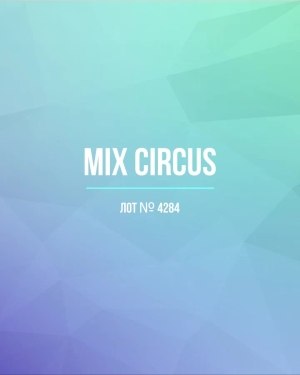 Купить CIRCUS mix #11,8 кг, ЛОТ №4284 оптом в Пензе и Пензенской области