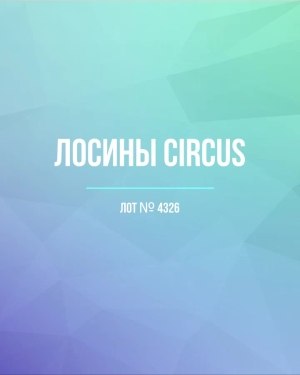 Купить Лосины CIRCUS #6,2 кг, ЛОТ №4326 оптом в Пензе и Пензенской области