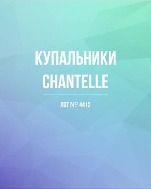 Купить Купальники Chantelle#23 шт, ЛОТ №4412 оптом в Пензе и Пензенской области