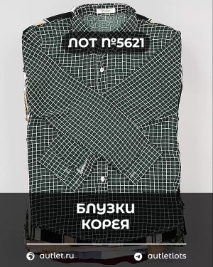Купить Блузки Корея#20 шт, ЛОТ №5621 оптом в Пензе и Пензенской области