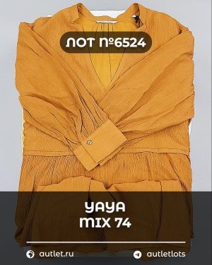 Купить YA YA 062024#39 шт, ЛОТ №6524 оптом в Пензе и Пензенской области