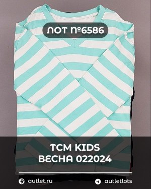 Купить TCM Kids весна 022024#7 кг, ЛОТ №6586 оптом в Пензе и Пензенской области