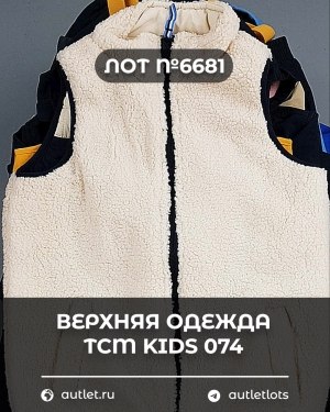 Купить Верхняя одежда TCM kids 074#7 кг, ЛОТ №6681 оптом в Пензе и Пензенской области