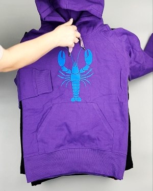 Фотография  669 - Толстовки м/ж (Sweat Tops)#20 кг, ЛОТ №7431 оптом в Пензе и Пензенской области