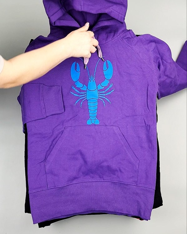 Фотография  383 - Толстовки м/ж (Sweat Tops)#20 кг, ЛОТ №7431 оптом в Пензе и Пензенской области