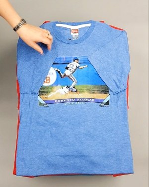 Фотография  784 - HOMAGE CAN 084#10 кг, ЛОТ №7499 оптом в Пензе и Пензенской области