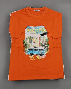 Купить Футболки мужские C-3141 (MEN T-shirt Sorbino) #4,8 кг оптом в Пензе и Пензенской области