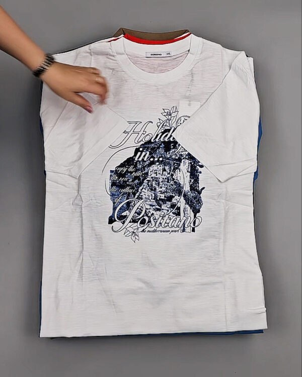 Фотография  713 - Футболки мужские C-3141 (MEN T-shirt Sorbino) #4,8 кг оптом в Пензе и Пензенской области