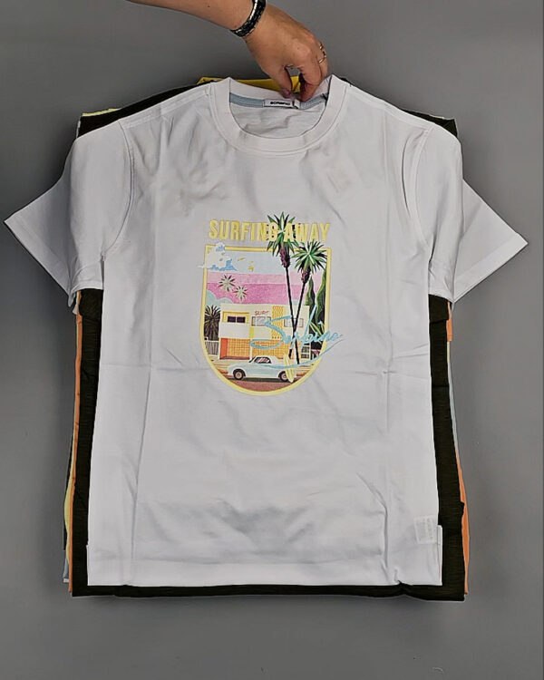 Фотография  800 - Футболки мужские C-3141 (MEN T-shirt Sorbino) #4,8 кг, ЛОТ №8835 оптом в Пензе и Пензенской области