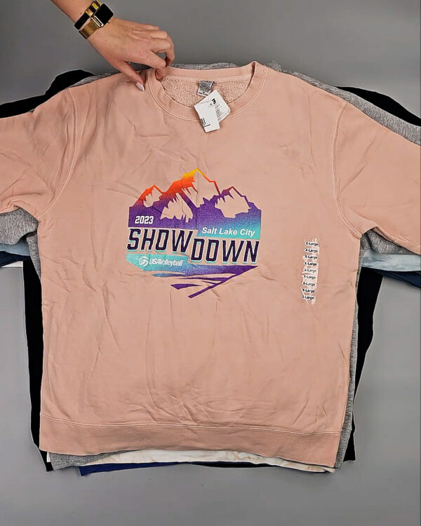 Фотография  673 - Толстовки СТОК CAN 0424#10 кг, ЛОТ СТ-10135 оптом в Пензе и Пензенской области