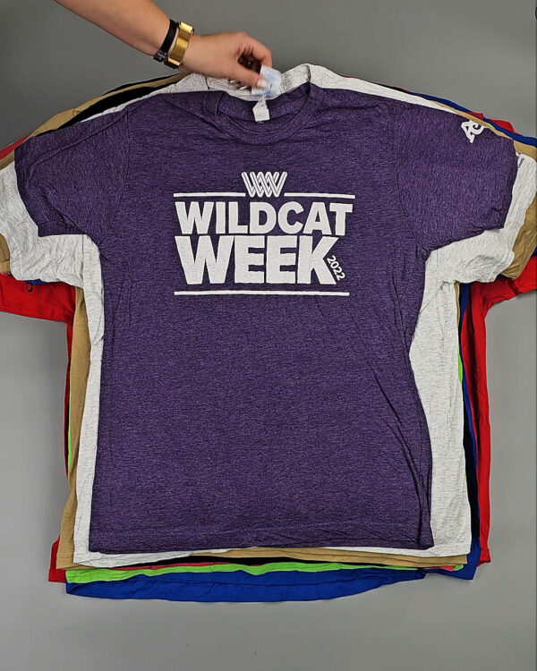 Фотография  487 - Футболки м/ж (Super T-Shirts Printed)#10 кг, ЛОТ СХ-0271 оптом в Пензе и Пензенской области